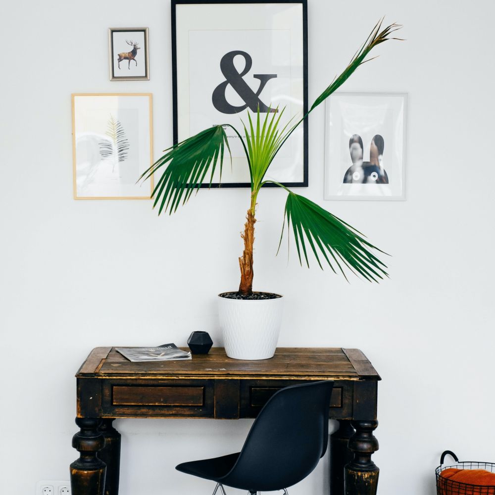 Thuiswerken, thuiswerkplek, interieuradvies, zwolle, home office, kantoor aan huis, inrichten, stylen, bureau, werkhoek thuis, kantoormeubels, interieurontwerp, interieurstyling, kantoor