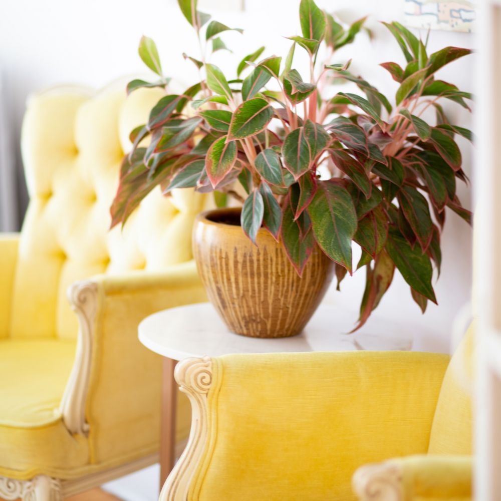 Geel interieur met gele fauteuil inrichting woonkamer met gele accenten